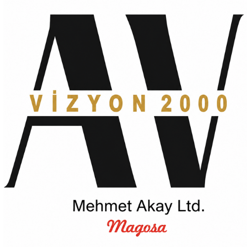 Vizyon 2000